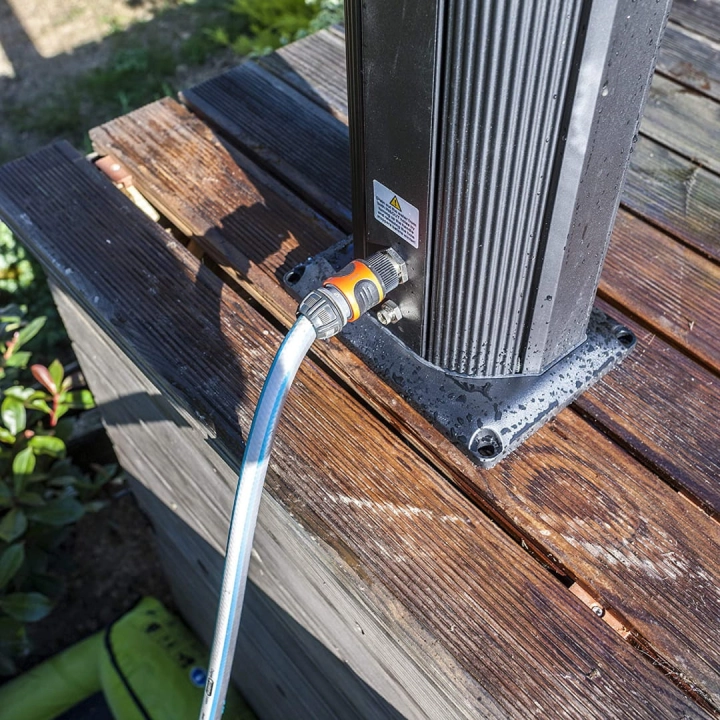 DSALP38 09.jpg