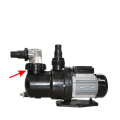 oring (4).png